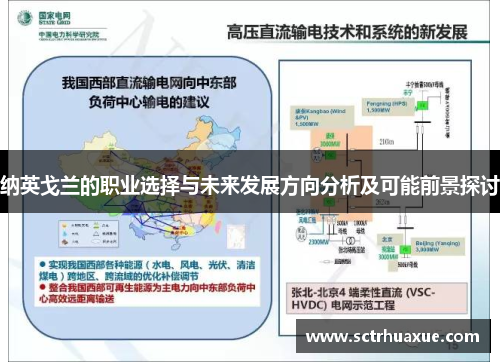 纳英戈兰的职业选择与未来发展方向分析及可能前景探讨