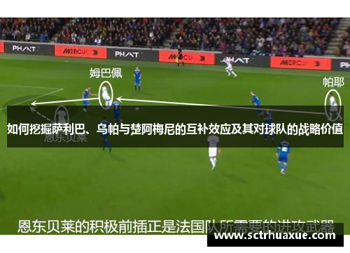 如何挖掘萨利巴、乌帕与楚阿梅尼的互补效应及其对球队的战略价值